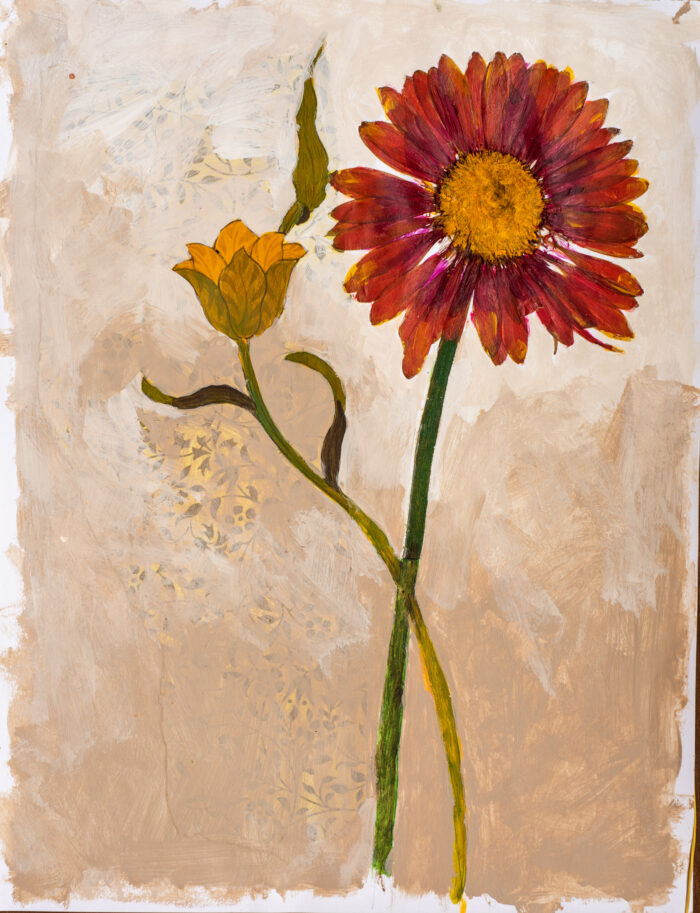 Tulp en gerbera (gedroogd)