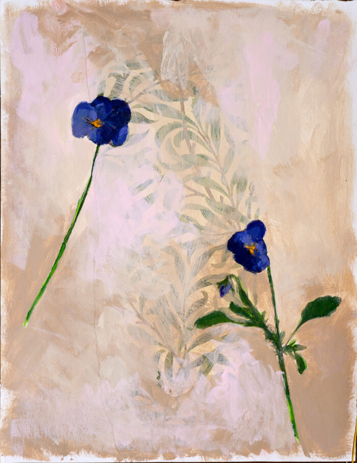 Viooltjes gedroogd