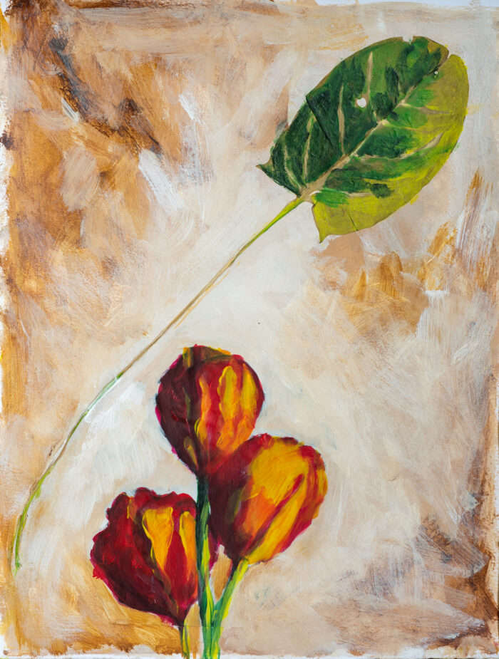 Zuringblad gedroogd en tulpen