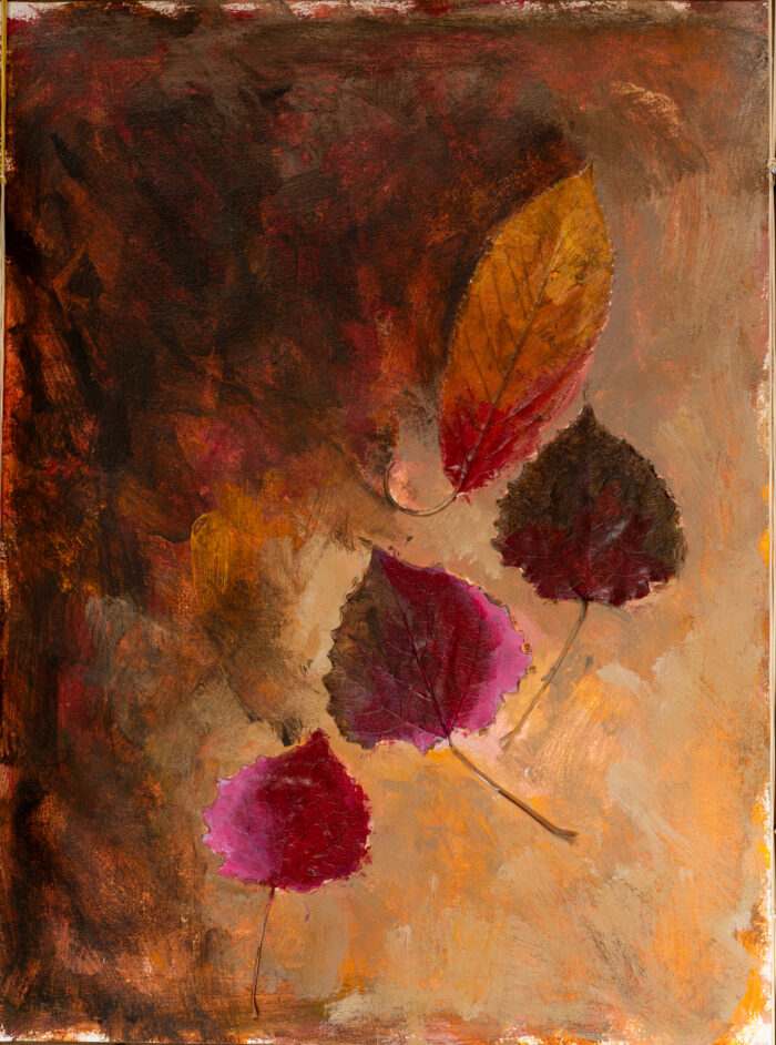 Abeel- en fluweelboomblad gedroogd