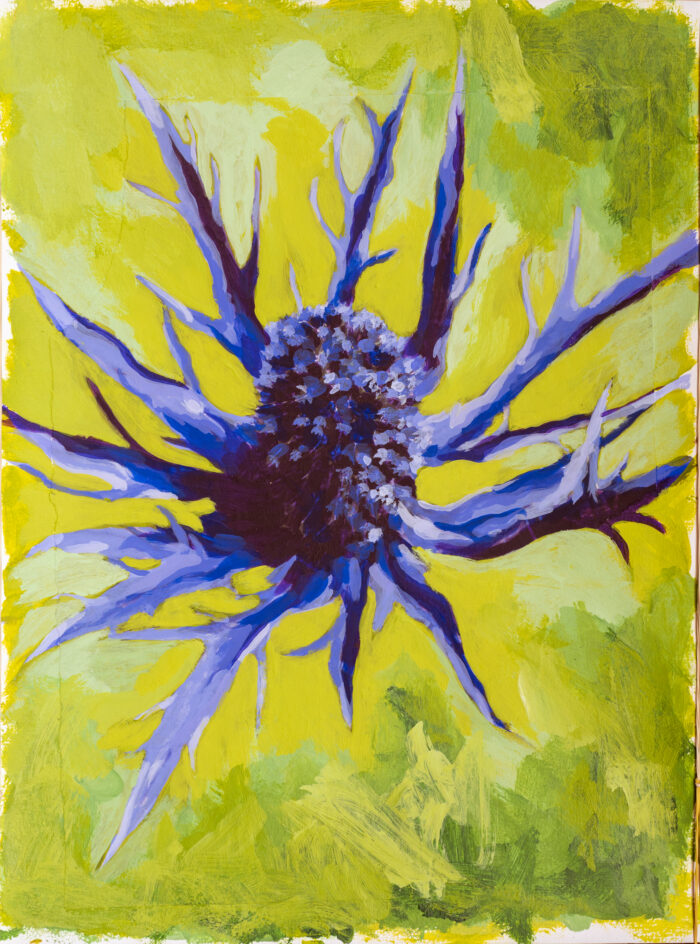 Distel