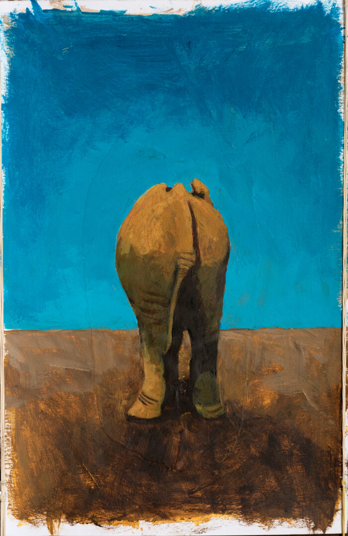 Kont van een olifant