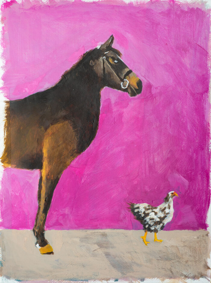Paard en kip