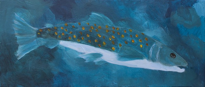 De laatste forel