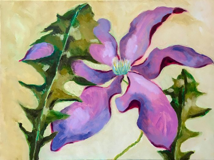 Clematis, Paardebloem